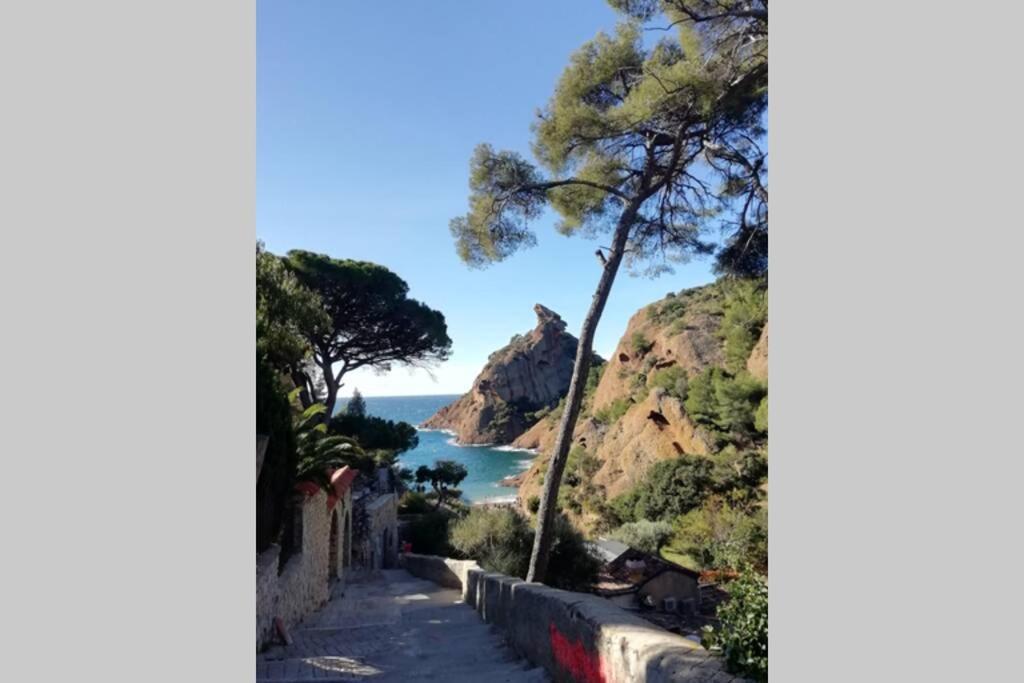 Le Repaire De La Cadiere A 5Mn Des Plages ! Сен-Сир-сюр-Мер Экстерьер фото